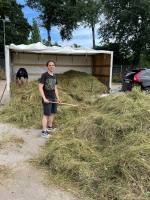 Vogelwiese Eisbaeren 2023